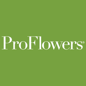 Pro Flowers